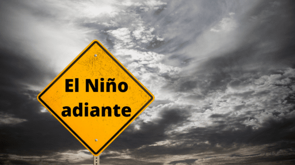 el niño