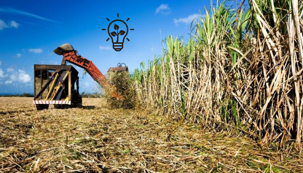energias renováveis